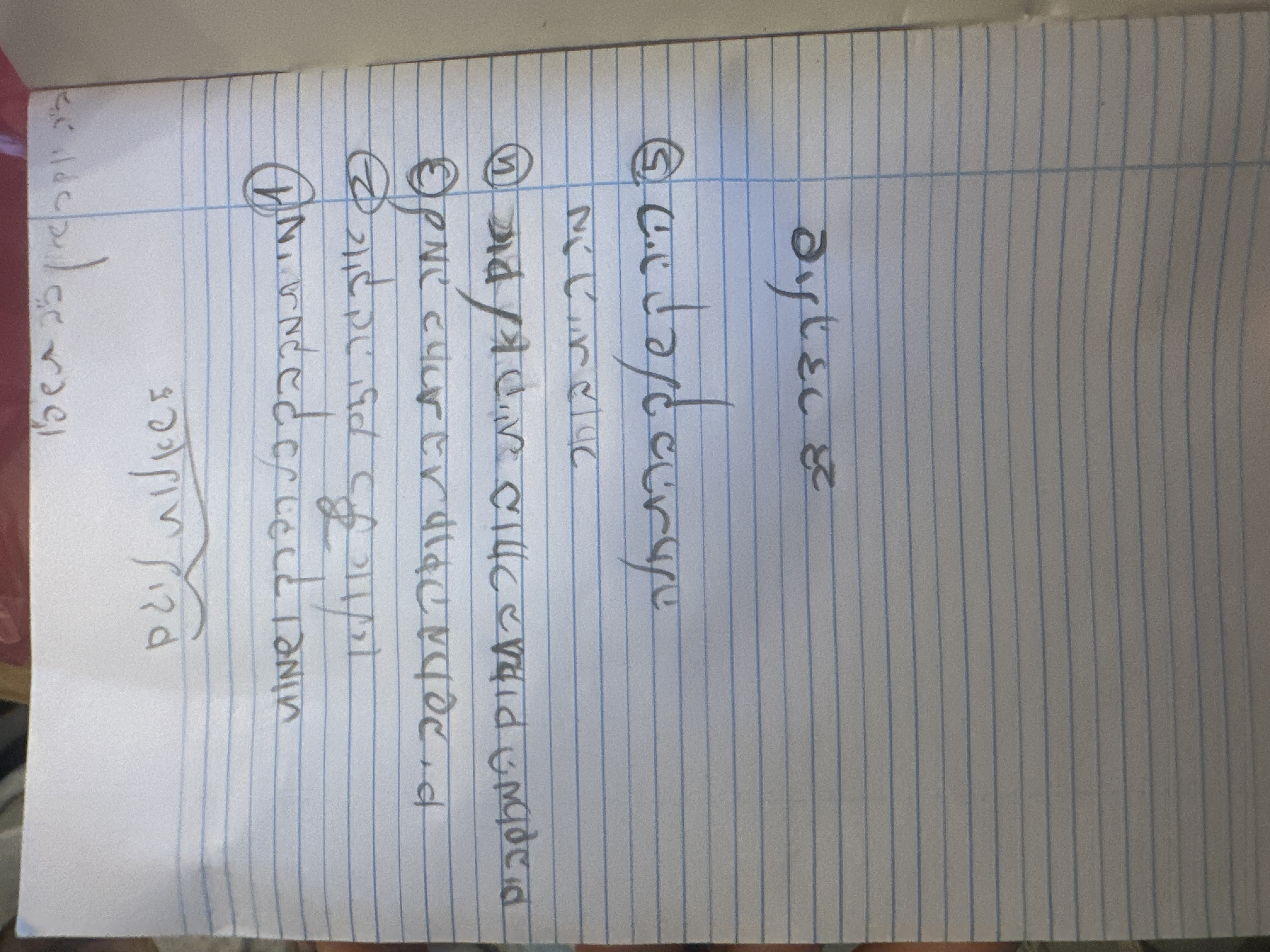 5 שאלות ליזם