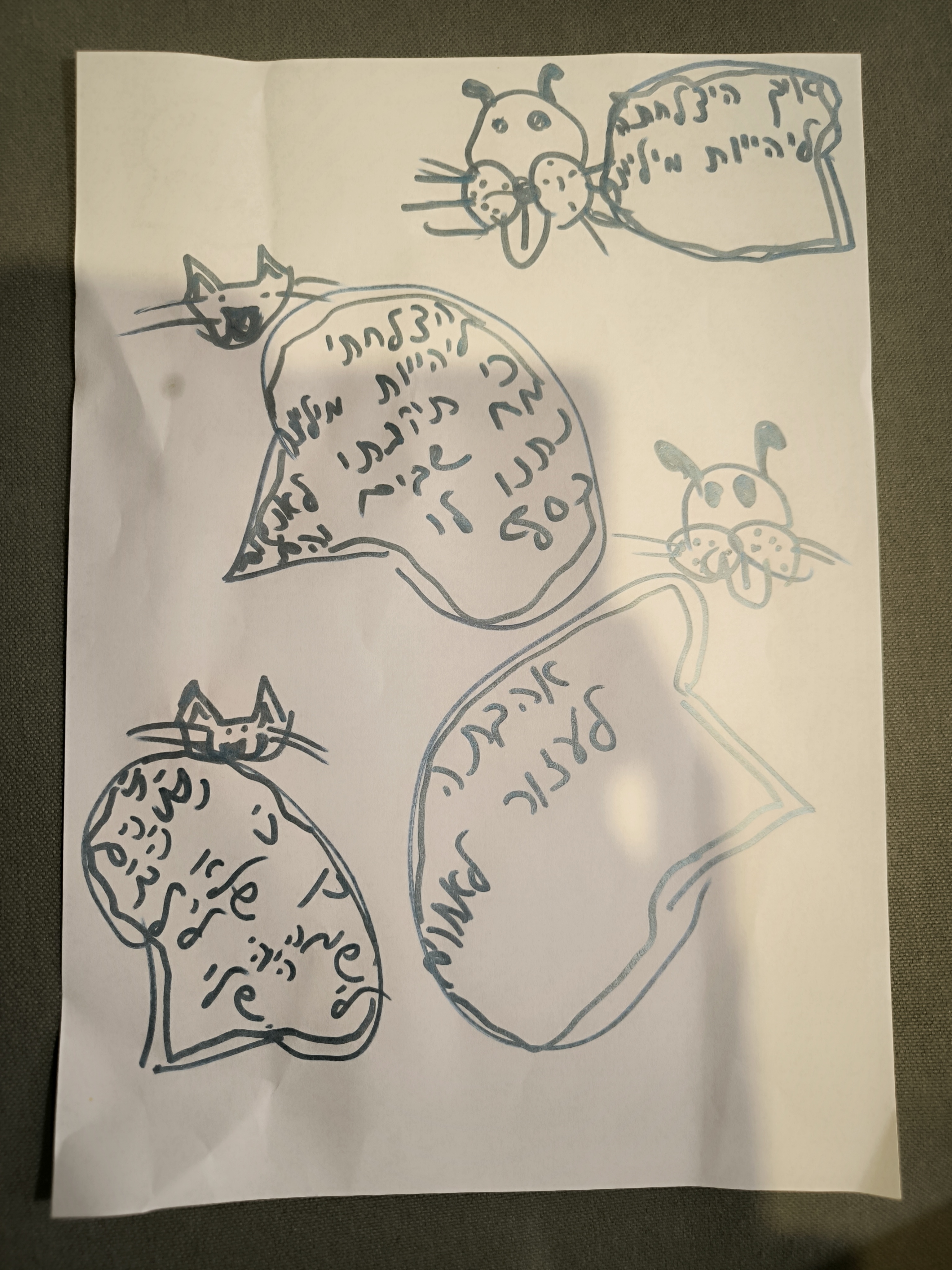 ראיון בין כתב ויזם :)