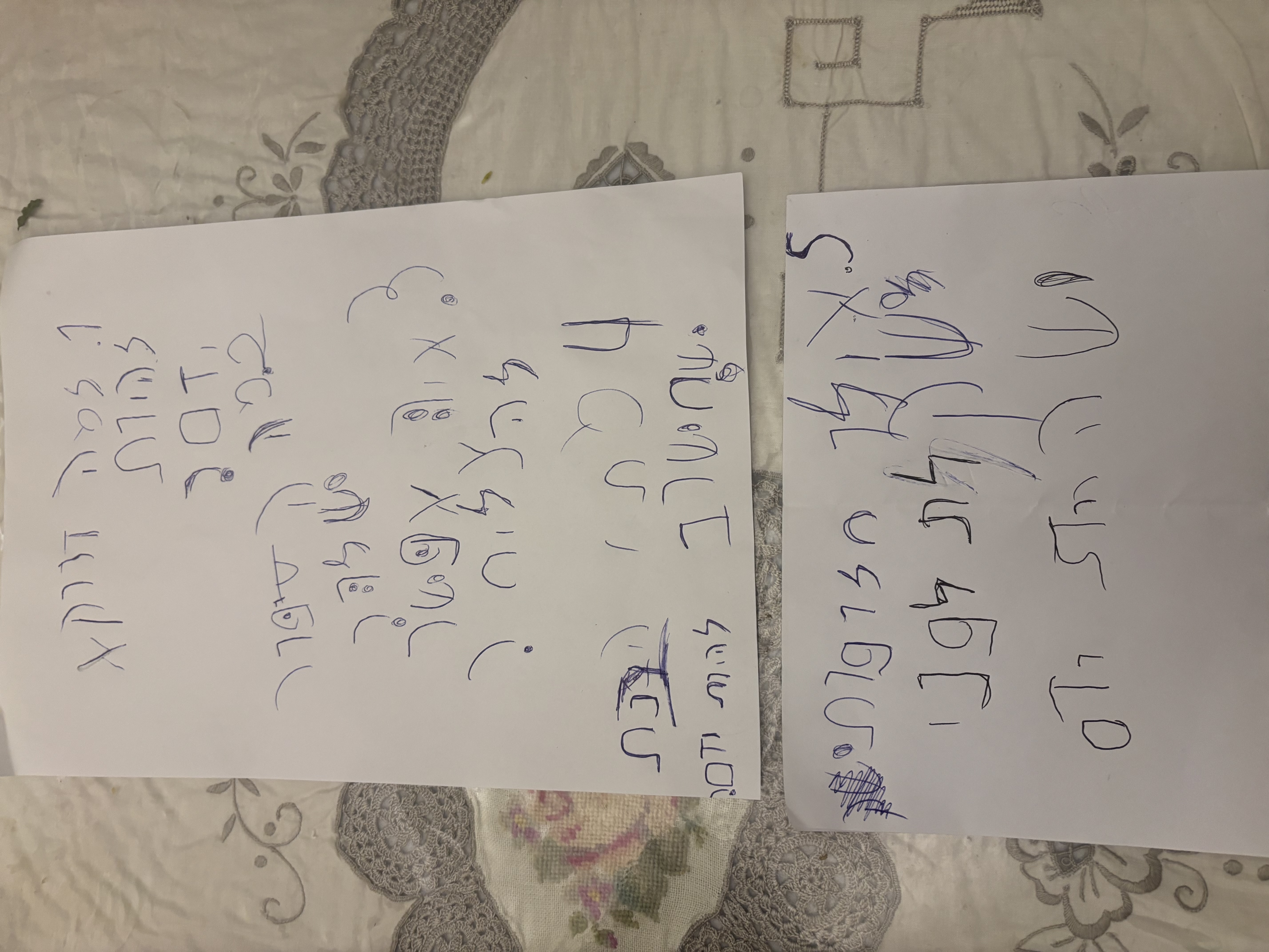 שאלות ליזם עומרי כהן