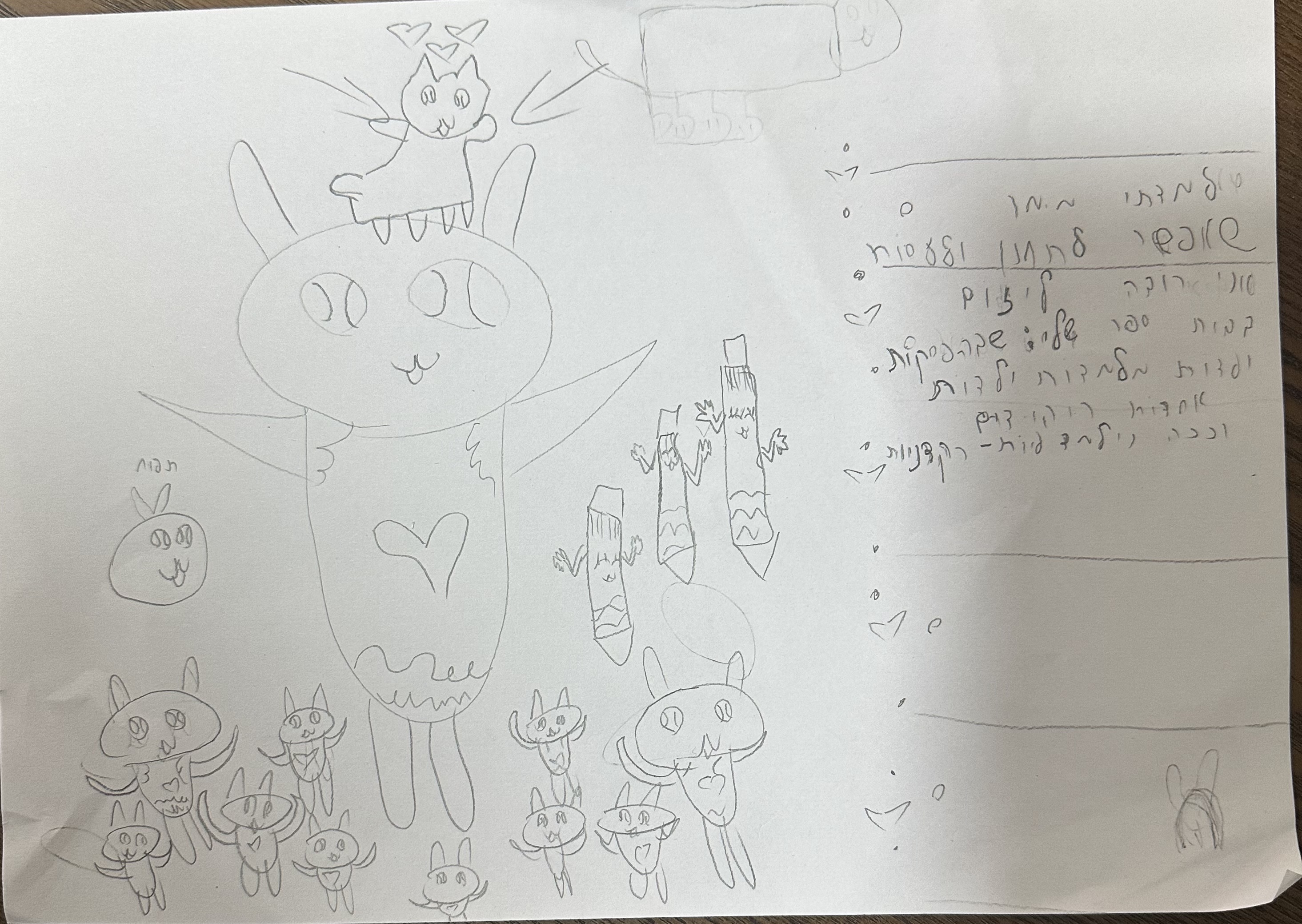 רעיון ליוזמה היידי גולדברג