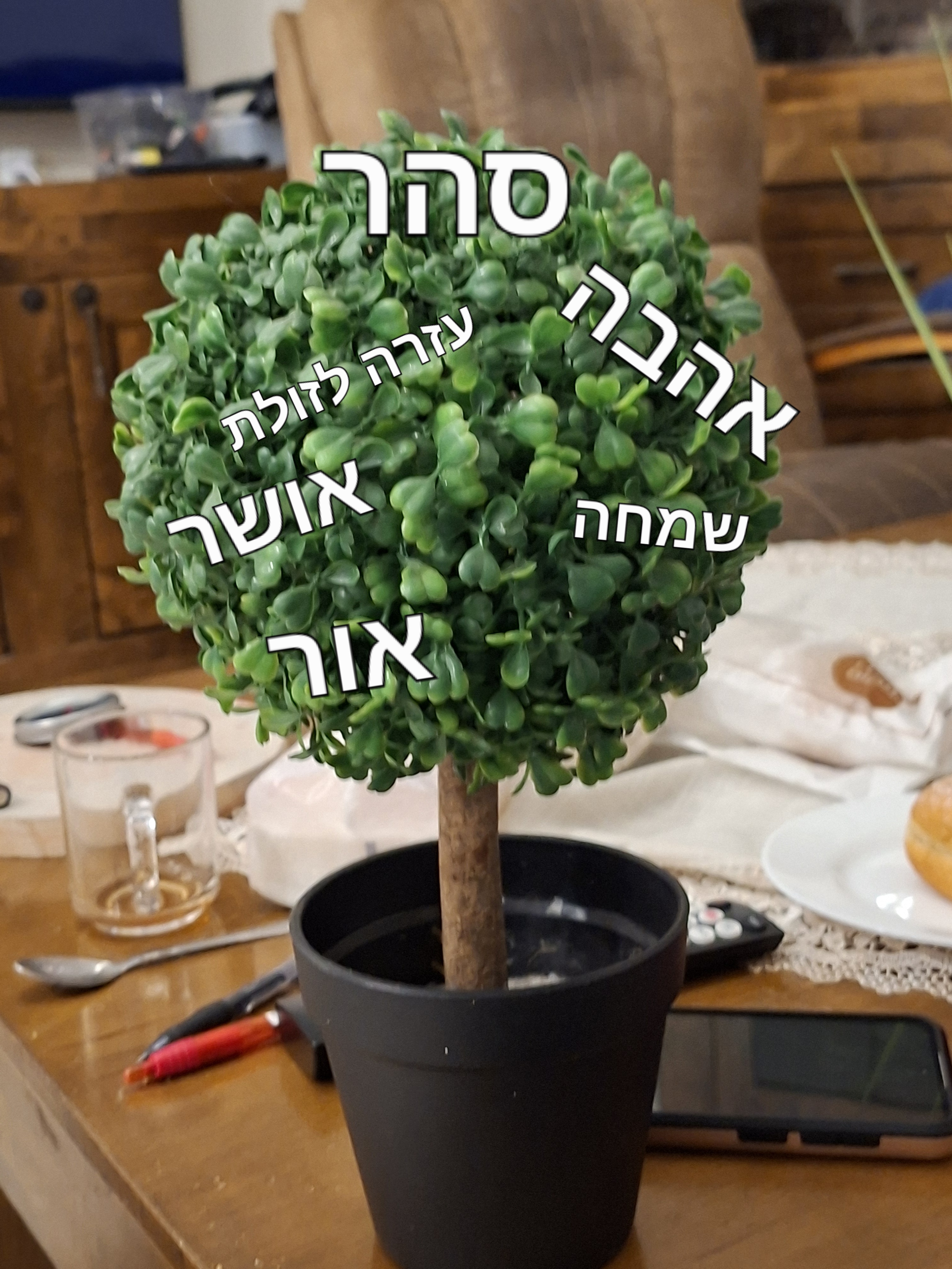 חלוקת אוכל לחיילים
