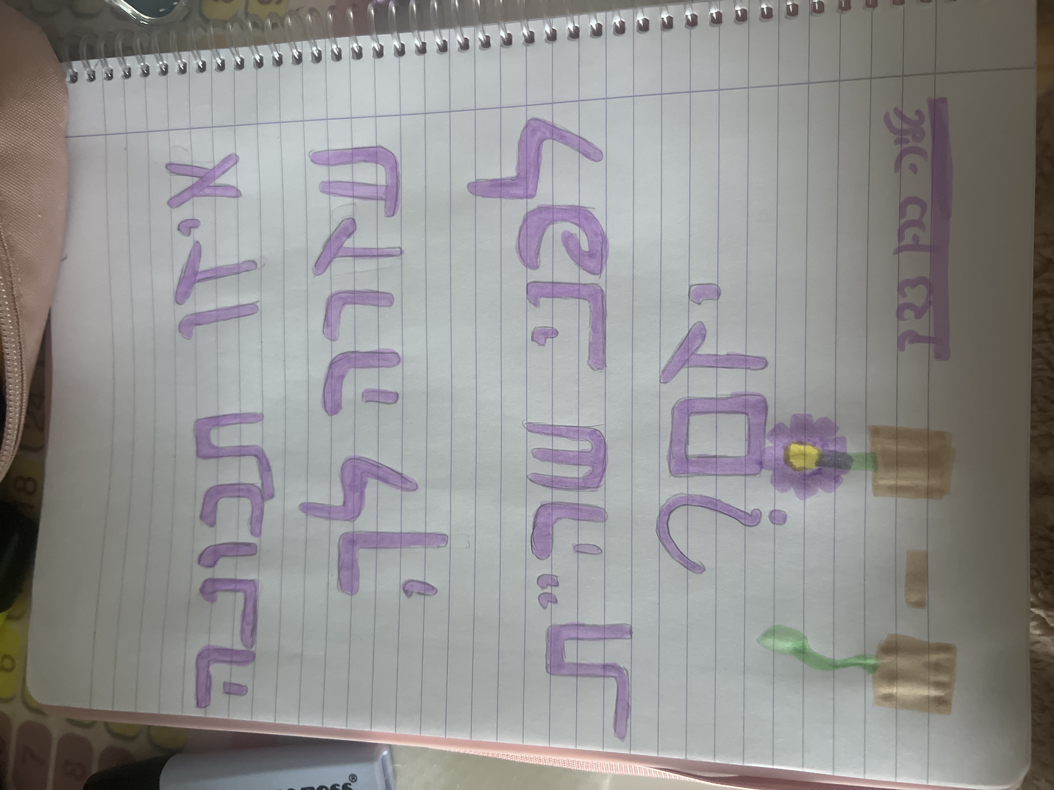 טליה כהן צדק עבודת יזמות