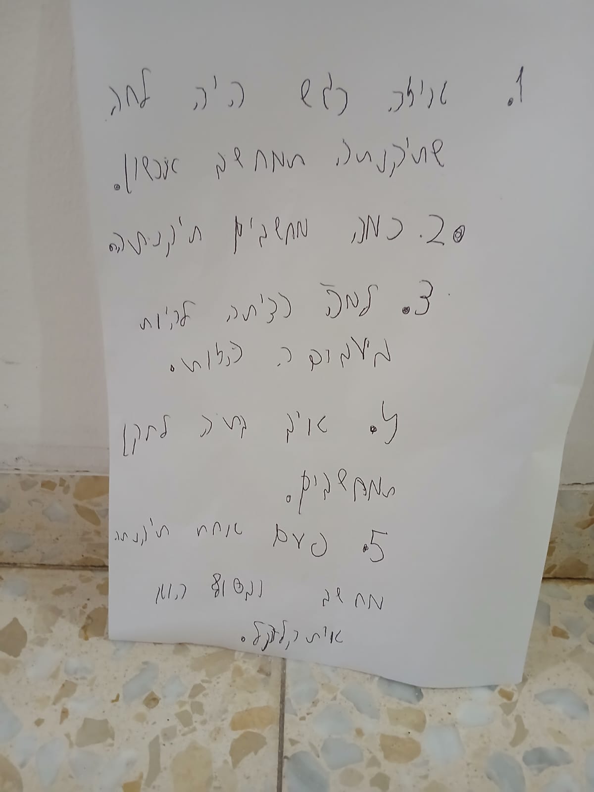 הטכנאי