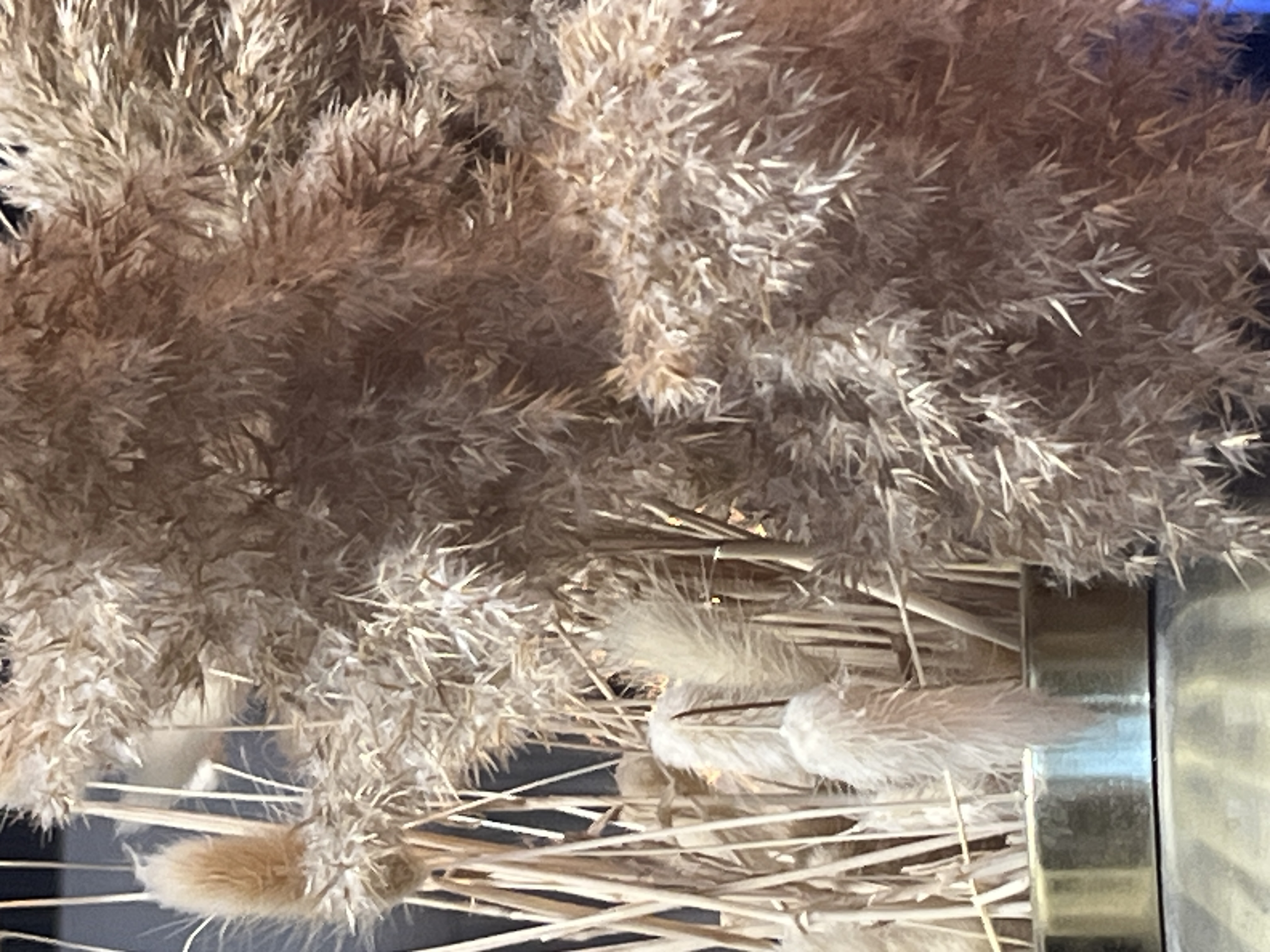 ‏כיבוד הורים